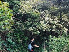 -北京鹫峰国家森林公园