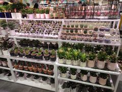 -KKV(深圳宏发大仟里店)