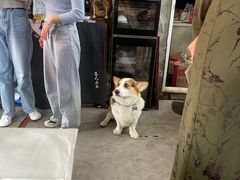 -阿尔法海鲜排档(爱琴海店)