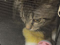 -宠颐生宠物医院·综合诊疗(先锋分院)