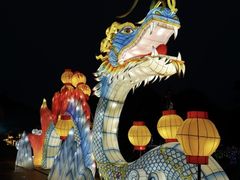 -东南花都花博园