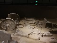 -洛阳周王城天子驾六博物馆