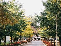 -长白岛森林公园