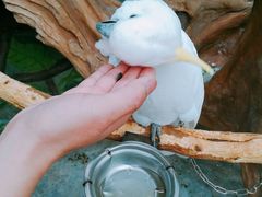 -昆明动物园