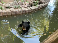 -长鹿旅游休博园