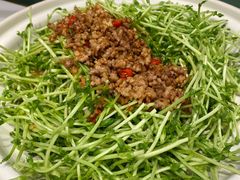 豌豆苗-刘胖子家常菜·蹄花焖藕(中南店)