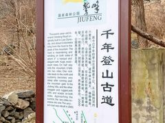 -阳台山自然风景区