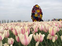 -南通鲜花小镇