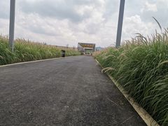 -光明小镇欢乐田园