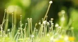 -东方摄影(通运路店)