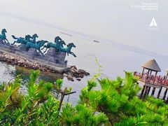 -养马岛旅游度假区