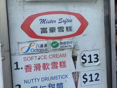 -富豪雪糕车流动点(尖沙咀店)