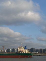 -青木造型HAIR·あおき髪を刈る潮人店