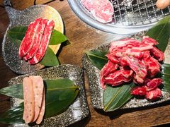 -良情择木·烤肉(青羊万达店)