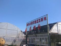 -庞各庄翠芳园西瓜蔬菜基地采摘园