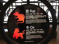 -爱雍·乌节