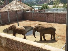 -西霞口神雕山野生动物世界