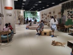 大堂-藏猫猫咖啡主题馆(中央大道店)