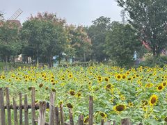 -祥源·阜阳生态乐园