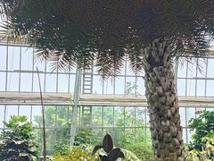 -南山植物园