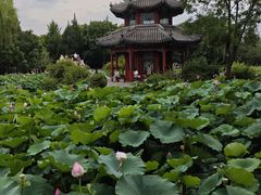 -莲池书院博物馆