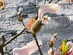 -东华门大街小区