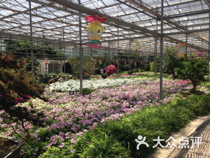 龙达绿野仙踪四季农夫乐园图片 - 第4张