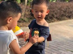 -泉州海丝野生动物世界