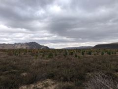 -西拉沐沦大峡谷园区