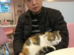 -三花喵·撸猫购宠·宠物生活馆(虹桥南丰城店)