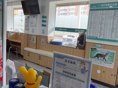 -瑞派长江宠物医院·猫科·外科·24小时夜护(谊城公寓分院)
