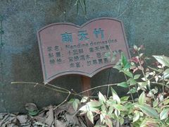 -上海佘山国家森林公园西佘山园