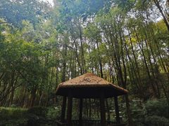 -重庆彩云湖湿地公园