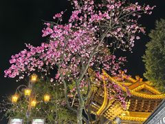 -大理文庙(大理古城)
