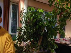 -慢丽江·云南野生菌土鸡锅(付家庄店)