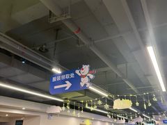 -世界之窗阿尔卑斯冰雪世界