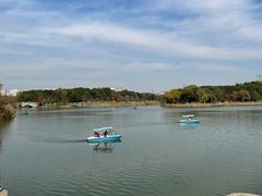 -昆山城市生态森林公园