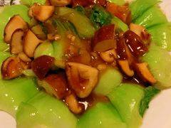 -四姐妹东北饺子(沙尾路店)