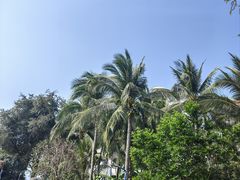 -三亚蜈支洲岛旅游区