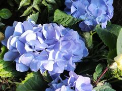 -荔湾湖公园