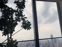-智美品质医美
