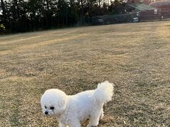 -前小桔亲子创意农场·草莓采摘·露营烧烤