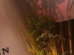 -宁采臣Sleep·采耳·SPA放松馆(湖里万达店)