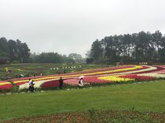 -保利石象湖景区