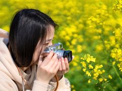 -桑洲油菜花景区