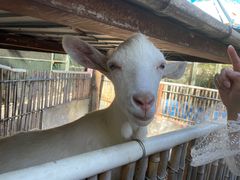 -天毓山庄·餐厅