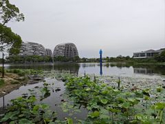 -海天湖公园
