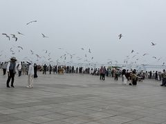 -星海广场