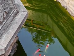 -湘子庙