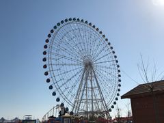 -凤凰欢乐大世界